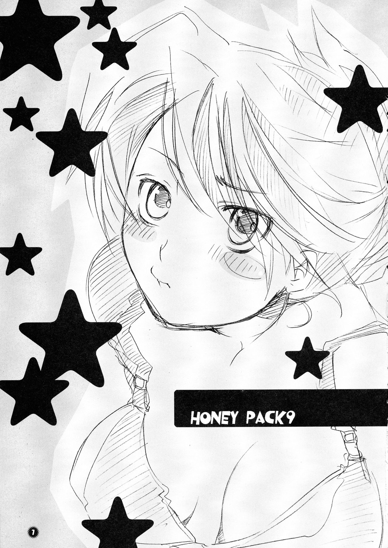 (サンシャインクリエイション 26) [HONEY QP (命わずか)] HONEY PACK 09 (戦国無双)