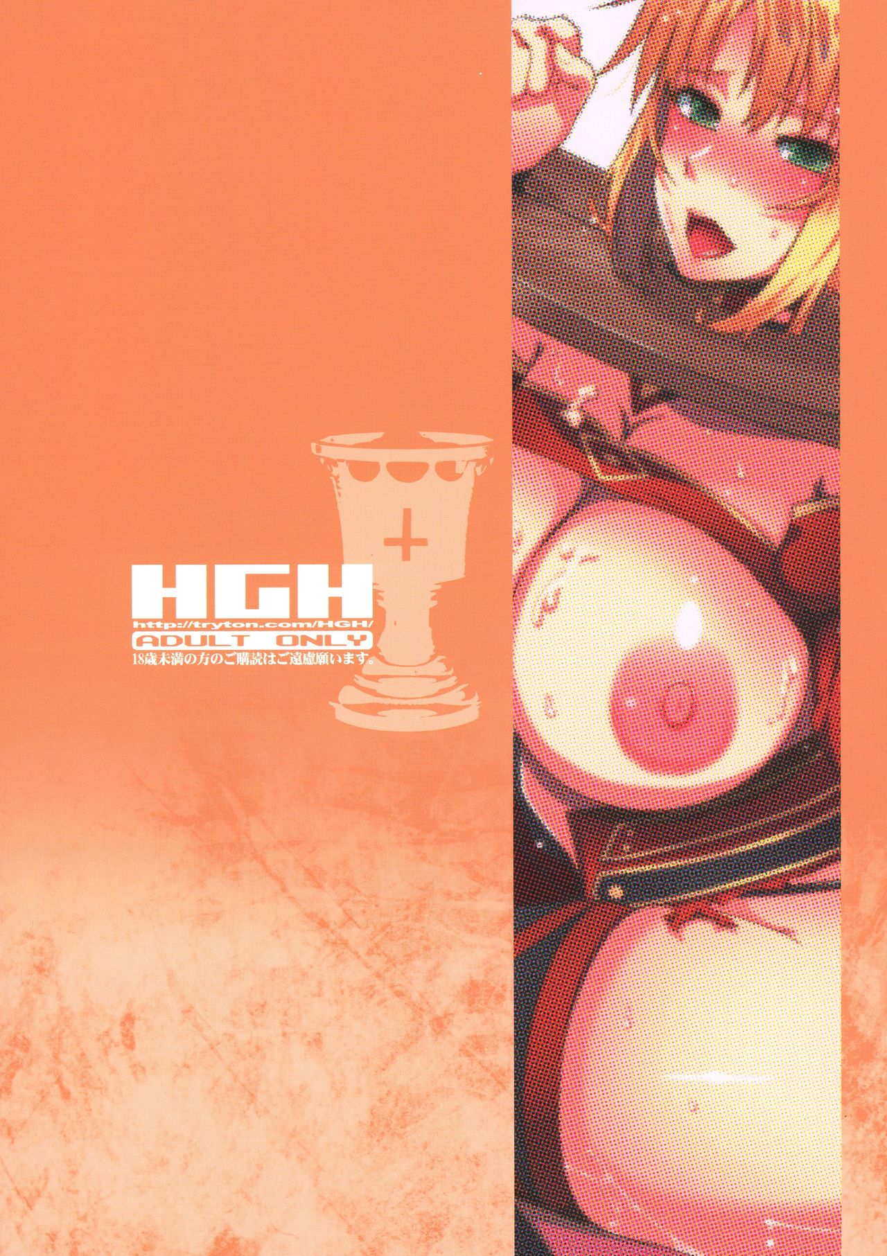 (C91) [HGH (HG茶川)] HGUC#08 我が麗しき父への×× (Fate/Grand Order) [中国翻訳]