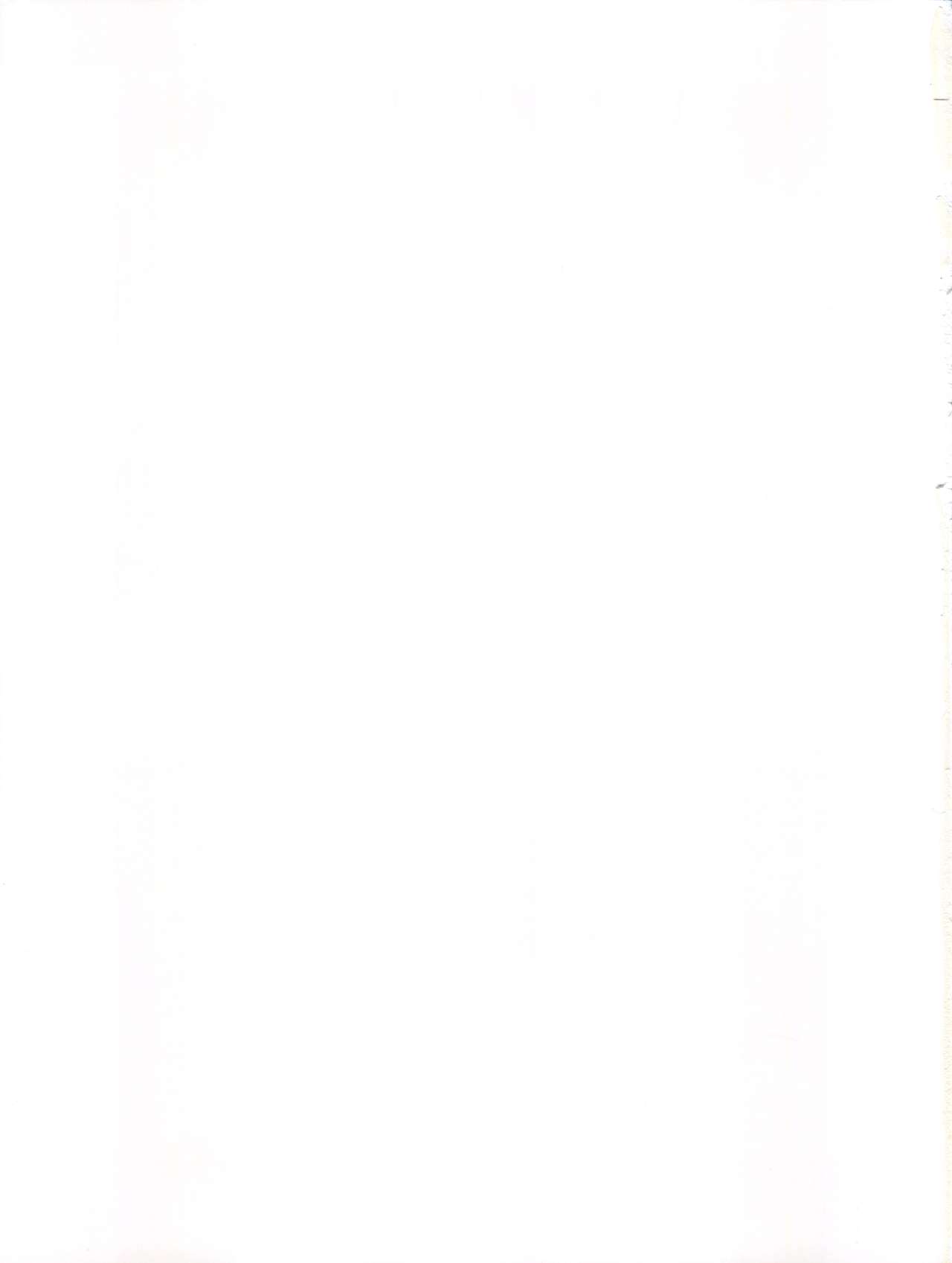 (C54) [なかよひ (いづるみ)] Pure (新世紀エヴァンゲリオン)