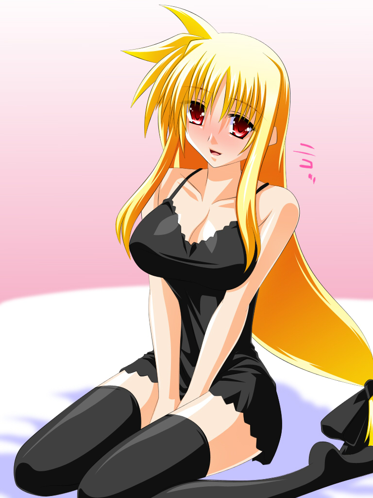 [Fake gate] 娼婦フェイトさん (魔法少女リリカルなのは)