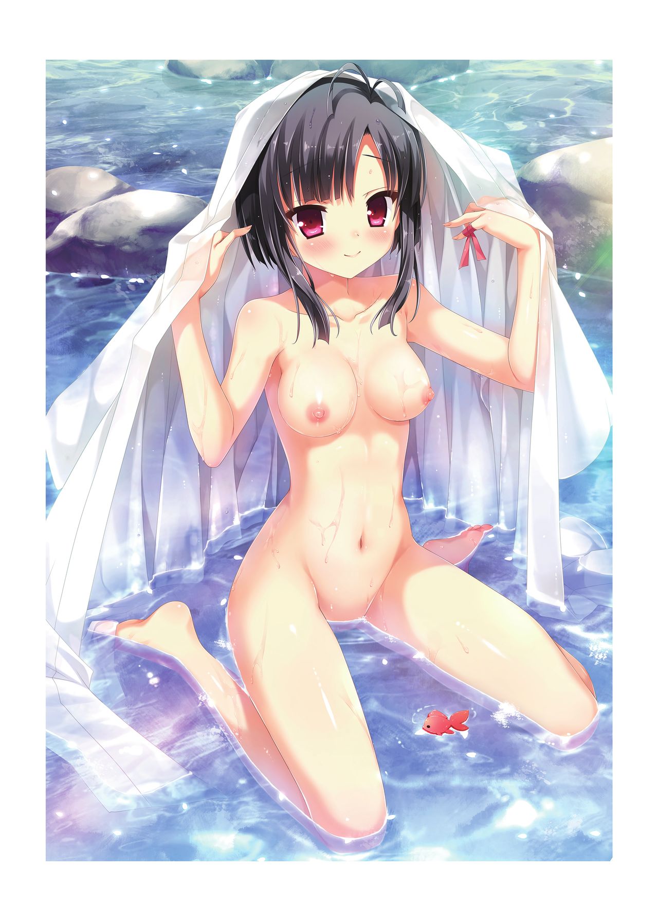 Hulotte Publicity Visual book