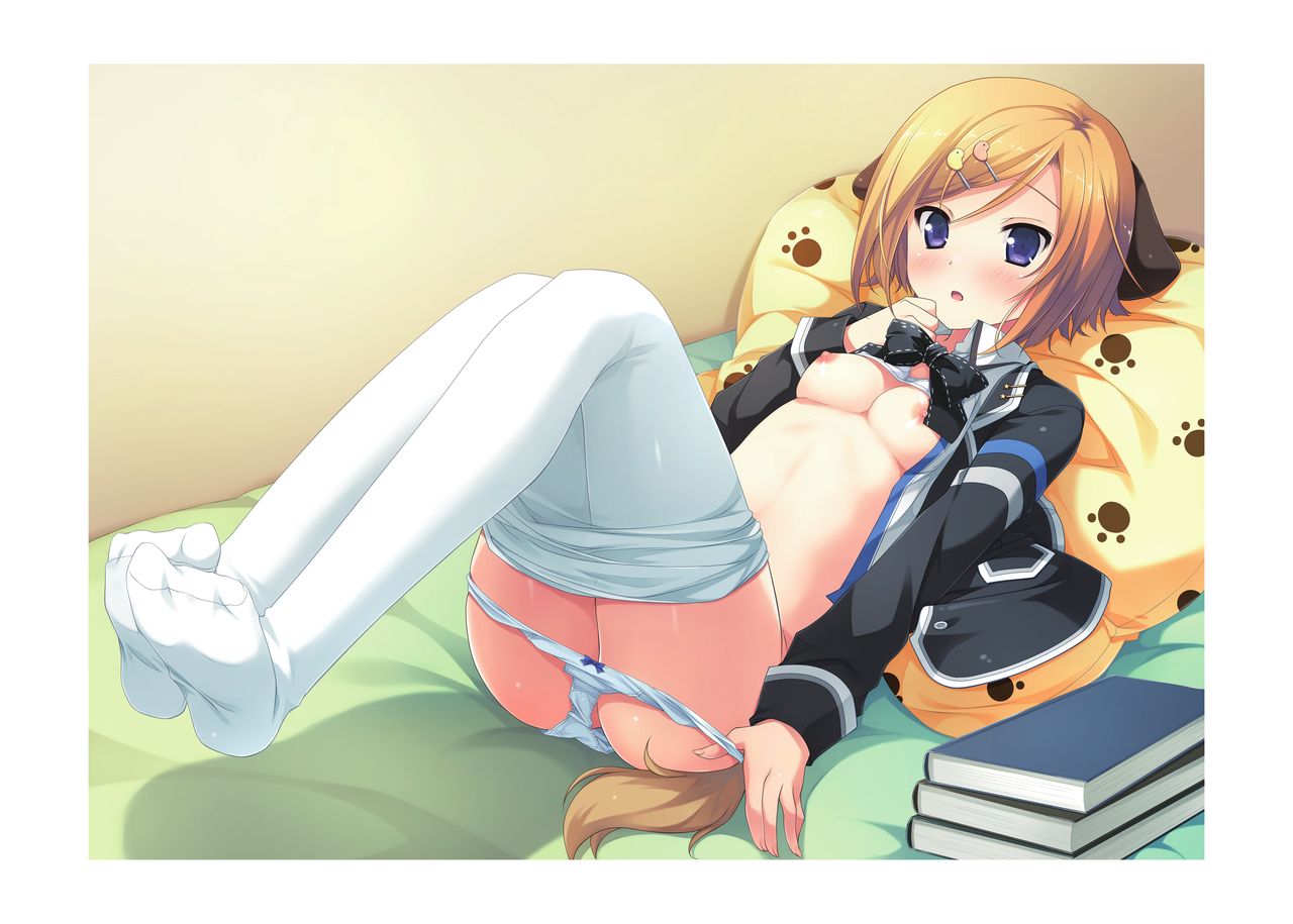 Hulotte Publicity Visual book