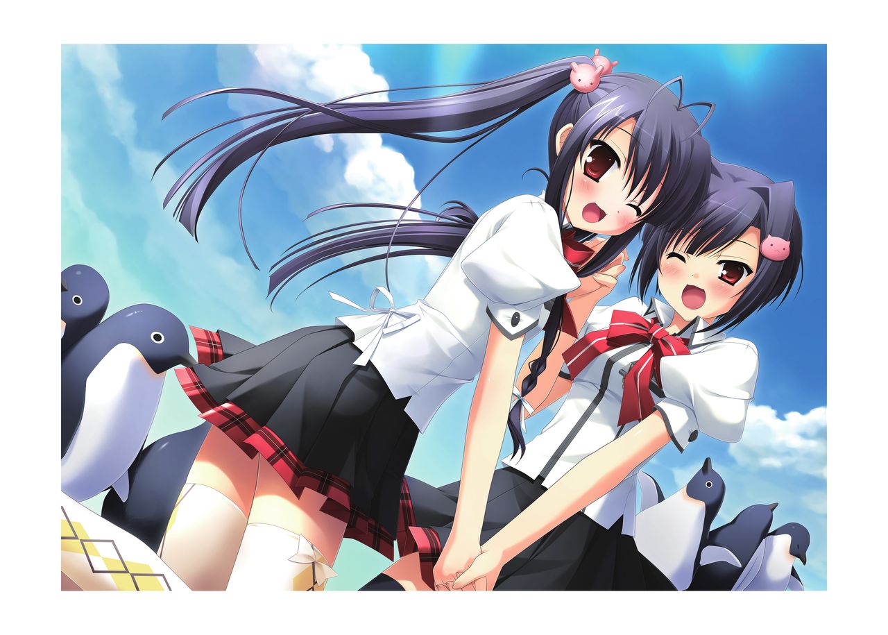 Hulotte Publicity Visual book