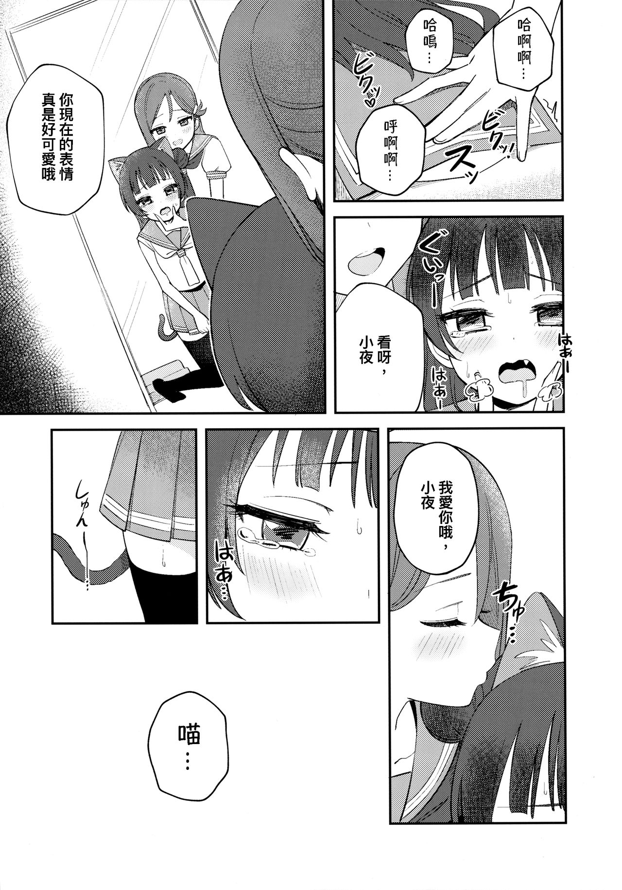 (C94) [Deadnoodles] ヨハネコ調教日記 (ラブライブ! サンシャイン!!) [中国翻訳]