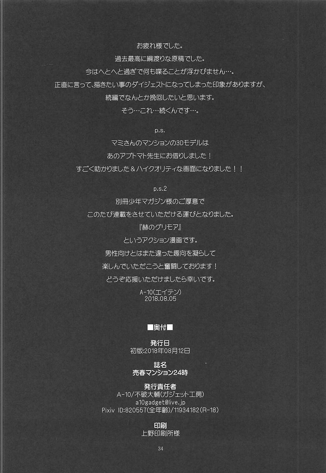 (C94) [ガジェット工房 (A-10)] 売春マンション24時 (魔法少女まどか☆マギカ)