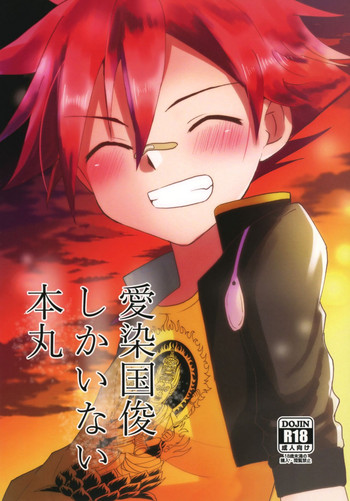 (超閃華の刻2017) [ぺこ連盟 (アクアジェット☆こーすけ)] 愛染国俊しかいない本丸 (刀剣乱舞)