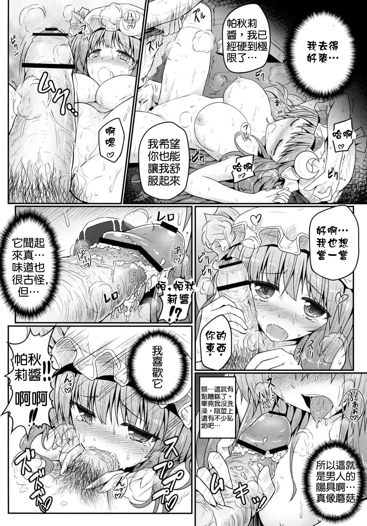 (C83) [e☆ALI-aL! (ありえす渡辺)] 蒸ちゅり～! (東方Project) [中国翻訳]