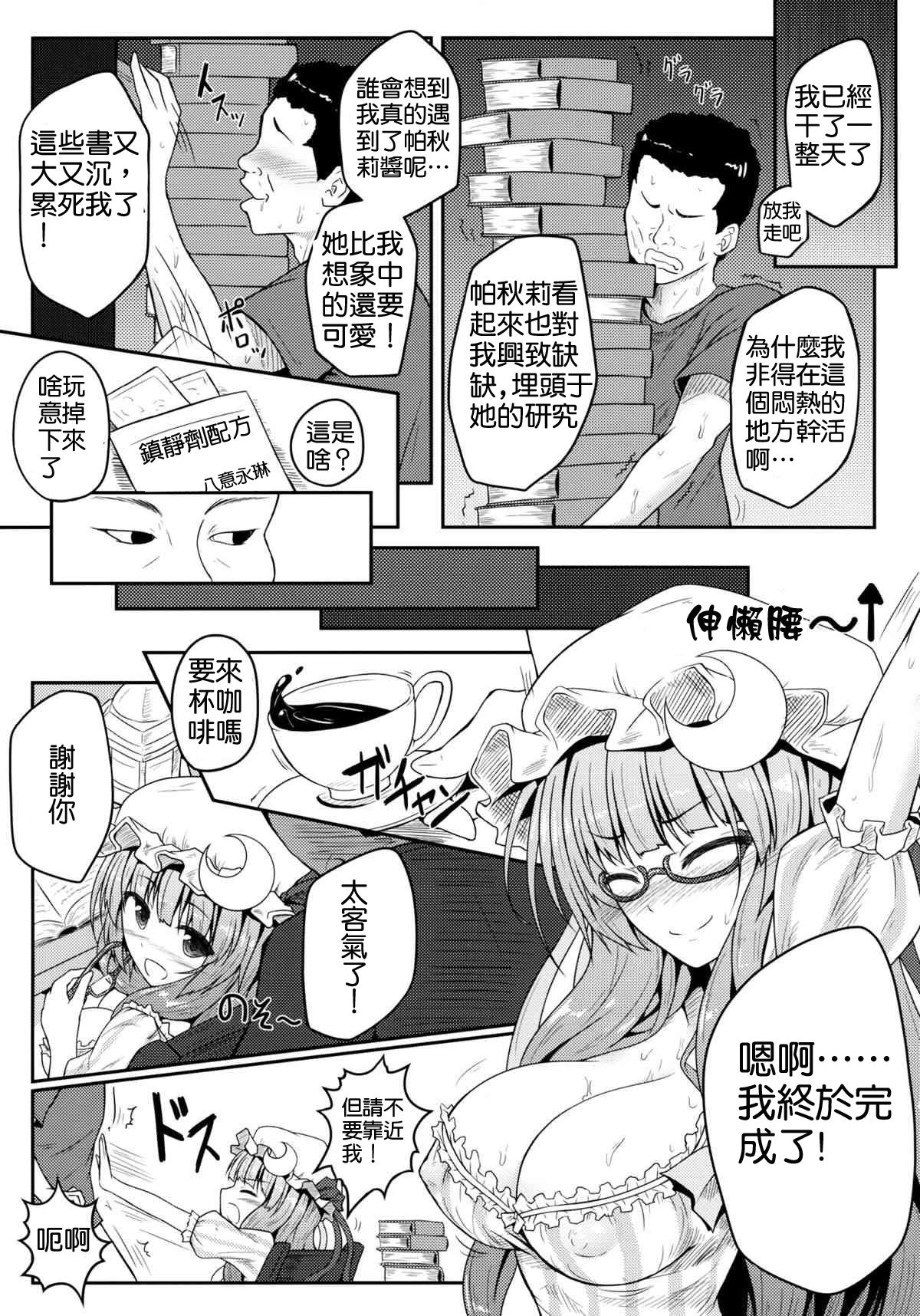 (C83) [e☆ALI-aL! (ありえす渡辺)] 蒸ちゅり～! (東方Project) [中国翻訳]
