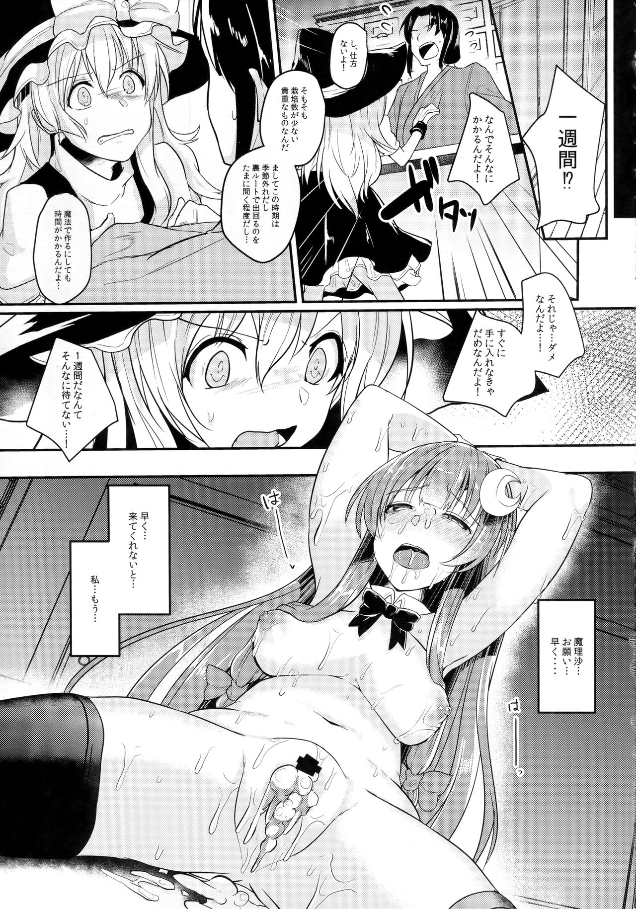 (例大祭15) [空想モノクローム (あび)] 身代わりのパチュリー (東方Project)