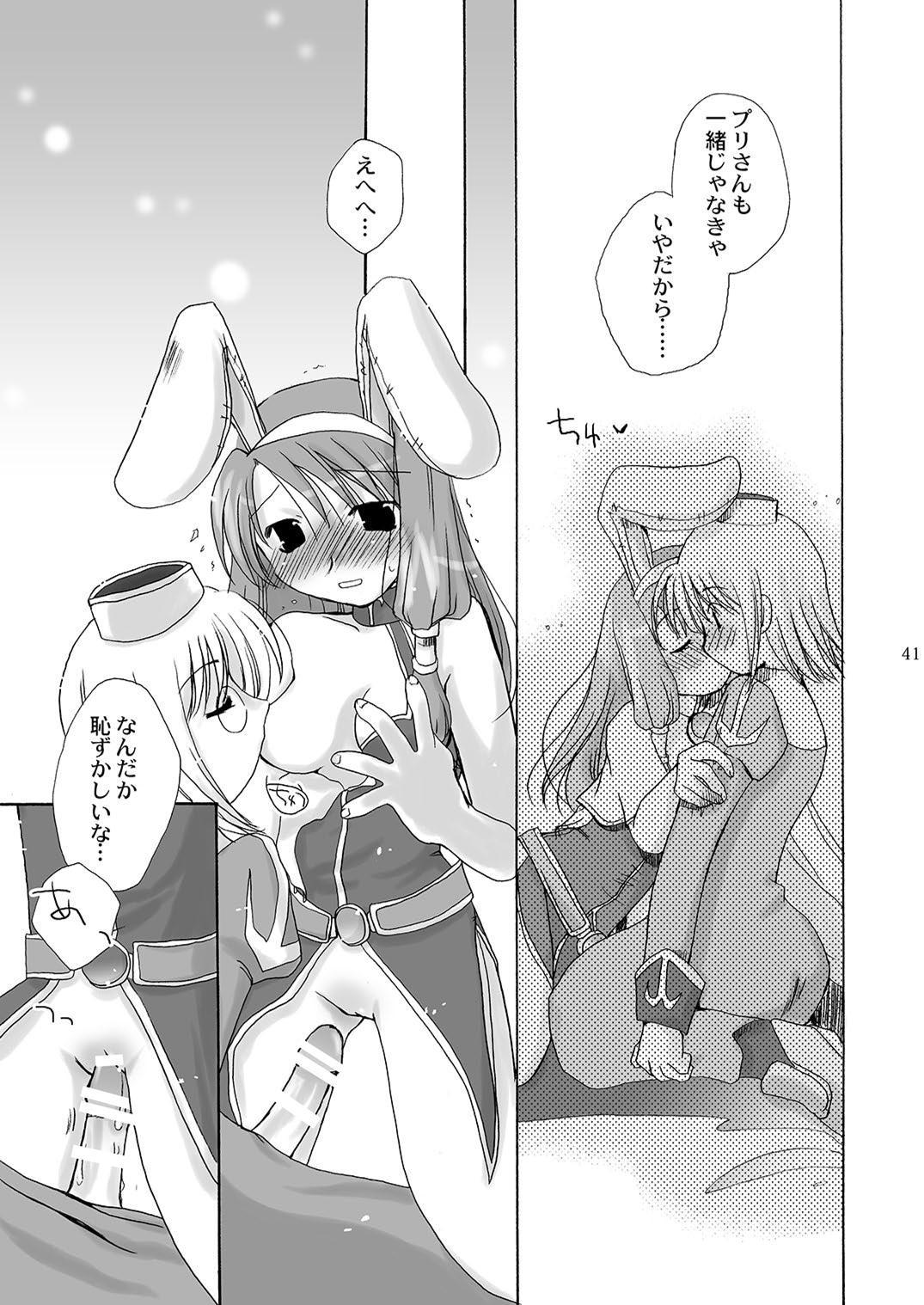 [仙弾 (おこさまランチ)] 魔法使いになる方法pinkslot (ラグナロクオンライン) [DL版]