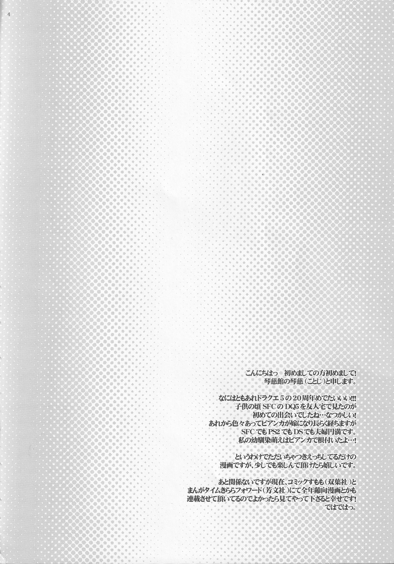 (C83) [琴慈館 (琴慈)] 天空の恋人 (ドラゴンクエストV)