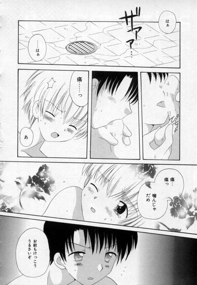 [星逢ひろ] 終わる世界の空の下