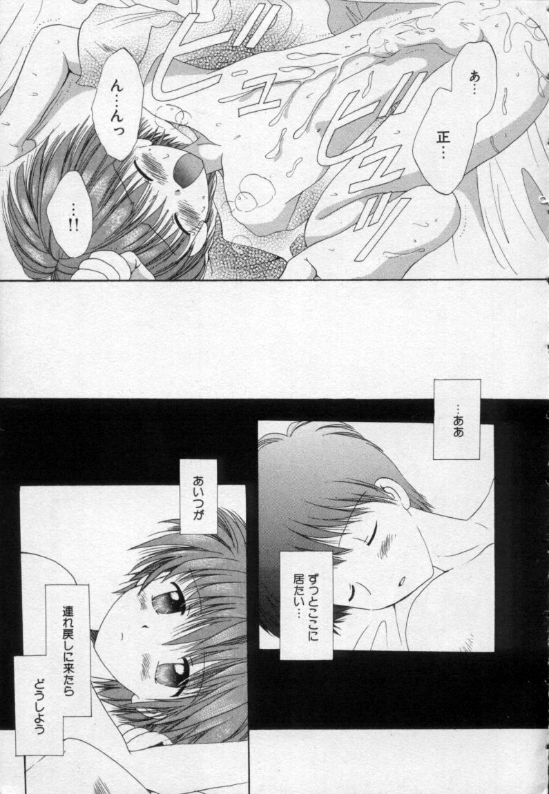 [星逢ひろ] 終わる世界の空の下