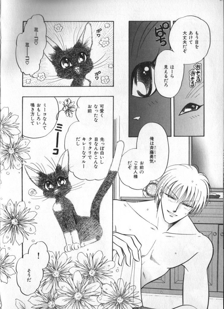 [アンソロジー] ぷちまる