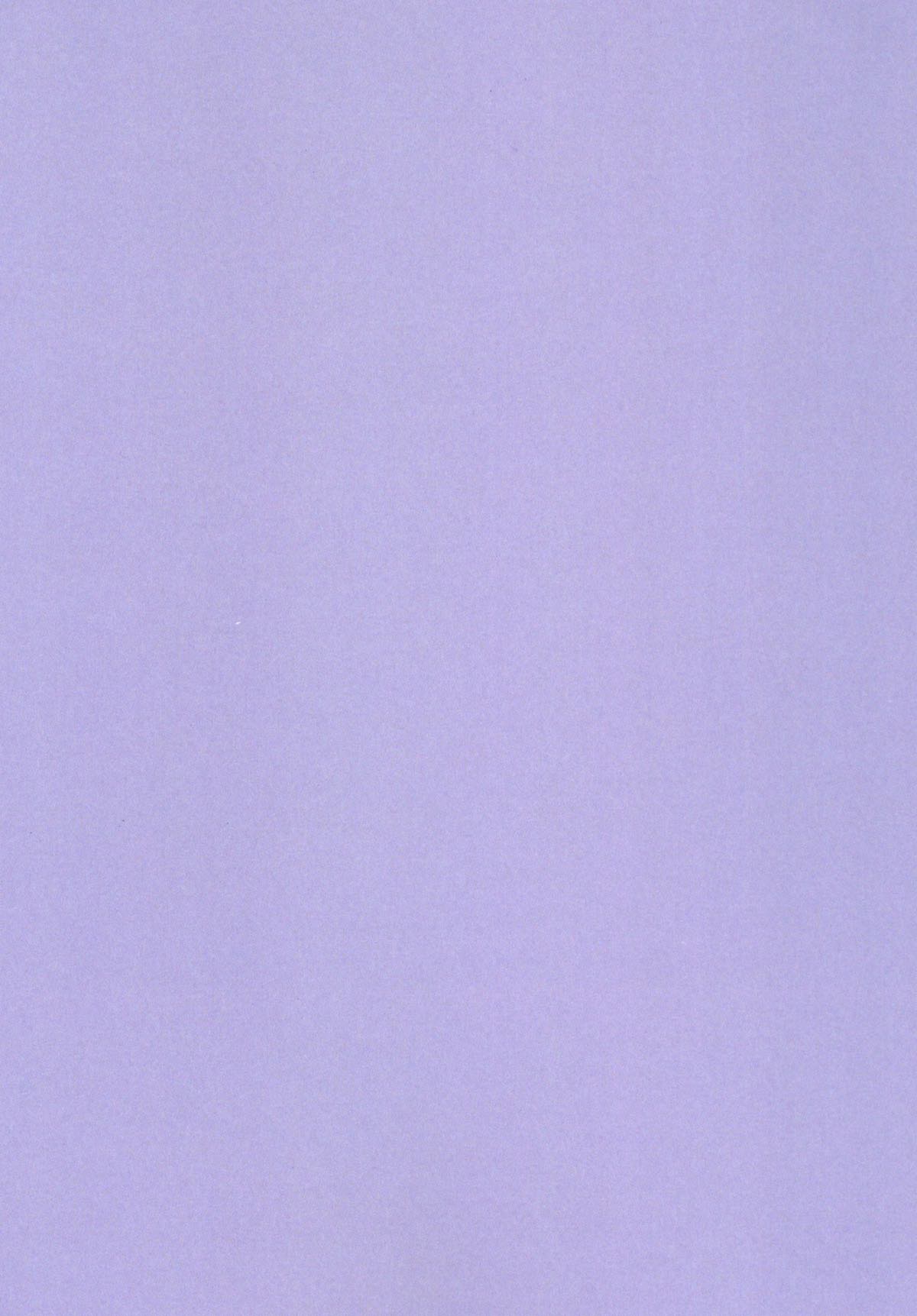 [有限産業すきま風 (探検はらはら)] 蓮子とメリーが朝からセックスするだけの本 (東方Project) [DL版]