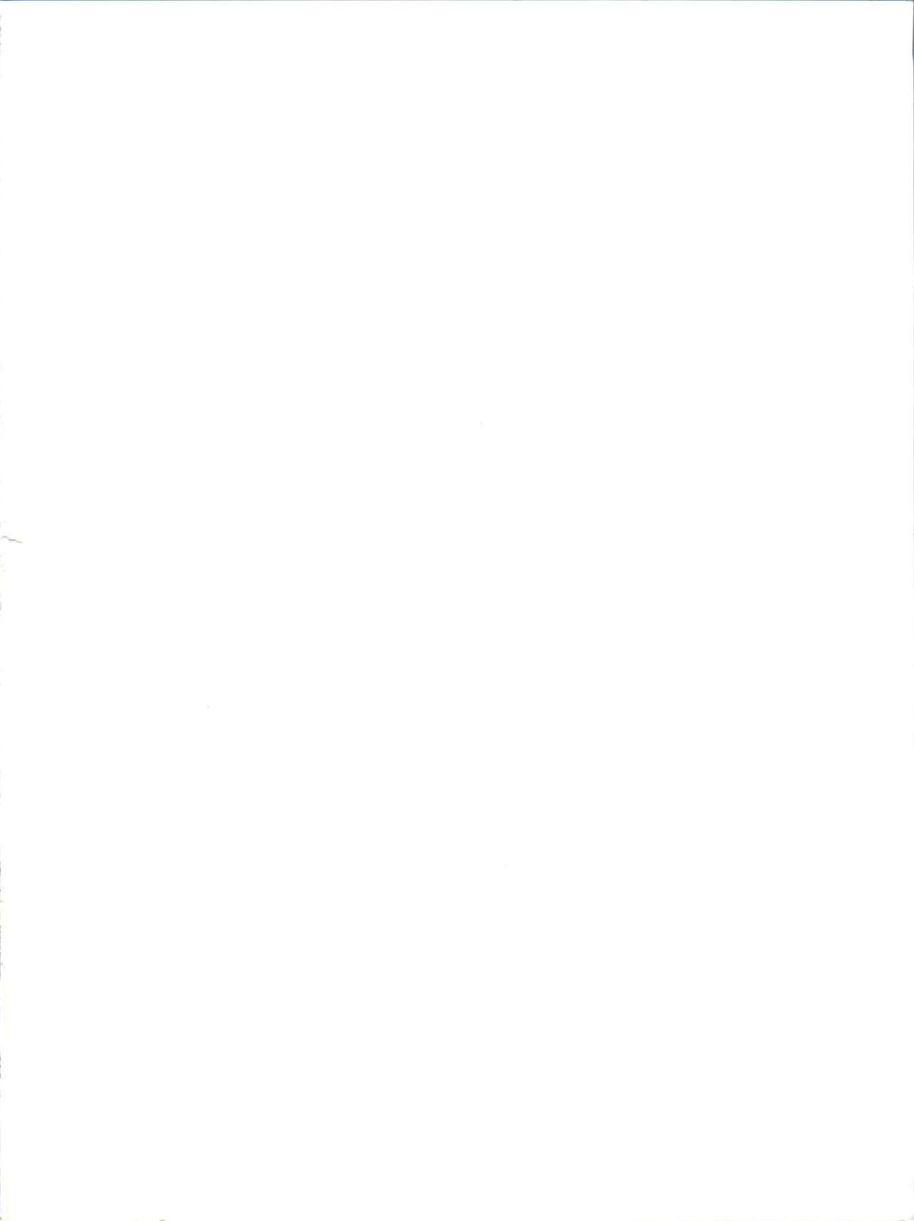 (C36) [スタジオTAMO (大巨神)] Magical Ponポンぽん 5 (よろず)