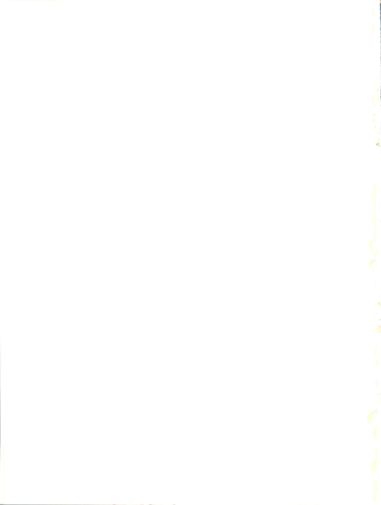 (Cレヴォ33) [絵描き小屋 (南条飛鳥)] KITSCH 21TH ISSUE (サクラ大戦)