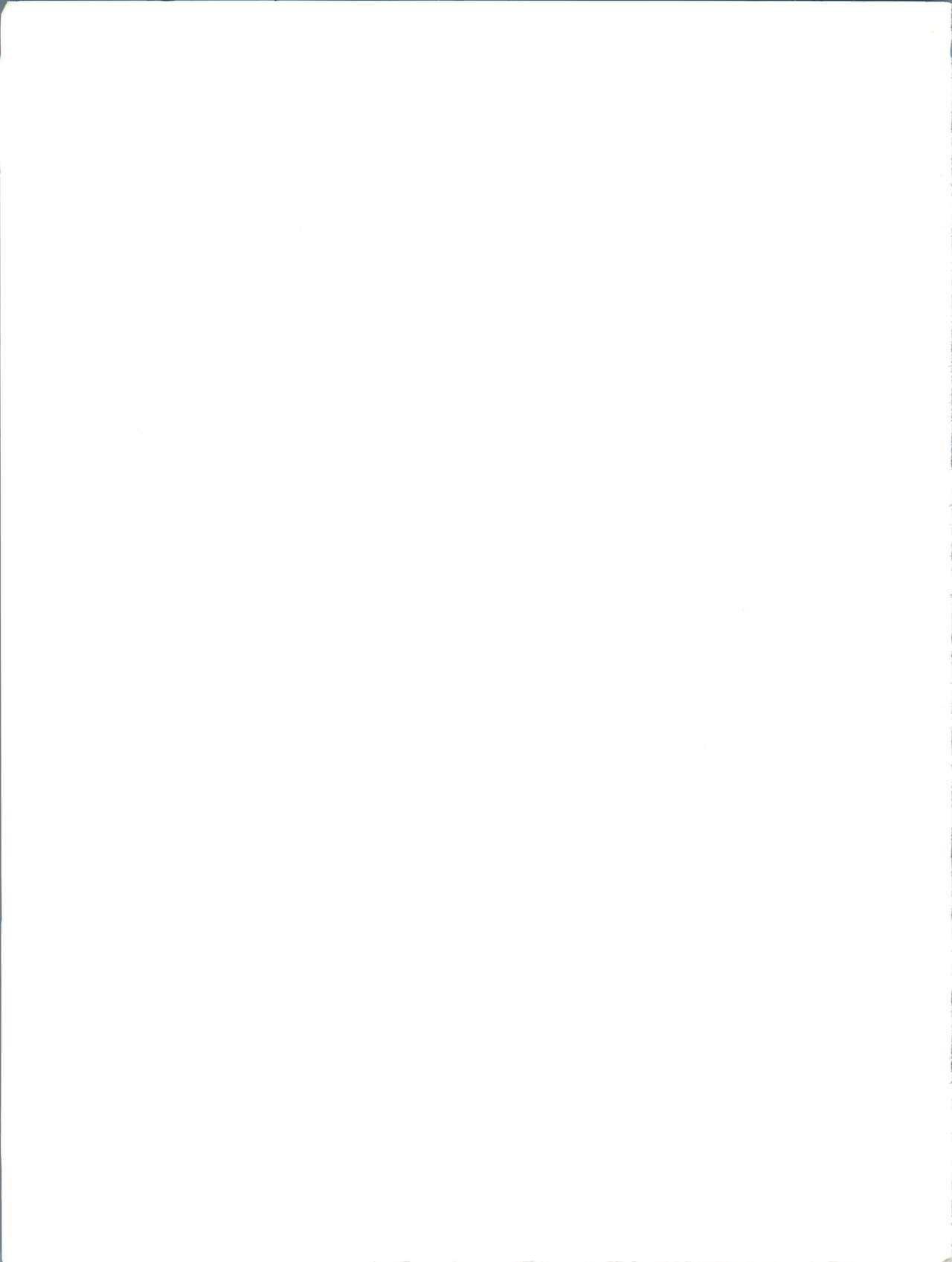 (C57) [信濃屋 (YAMA)] V-TIC MAX 3 (よろず)