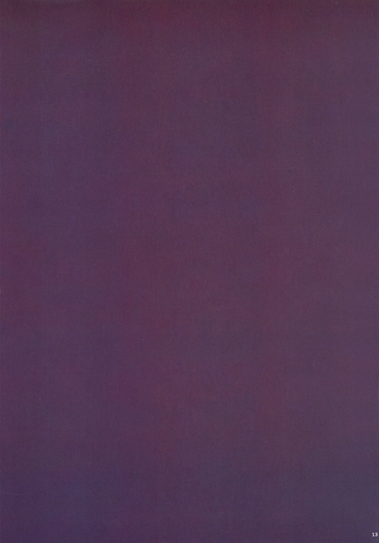 (C93) [孤独intelligence (ななお)] THE BOOK OF SAKURA (Fate/stay night) [中国翻訳]