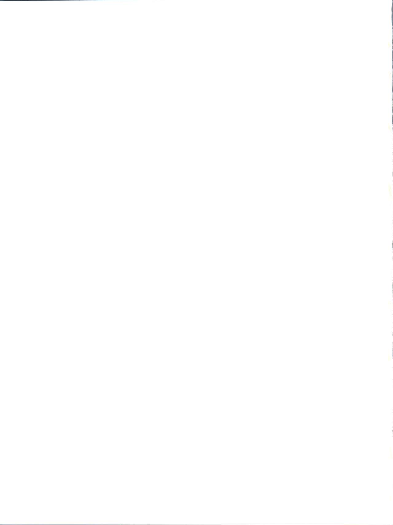 (C65) [豺狼出版 (J・さいろー)] LIPPIN' (ガンダム)