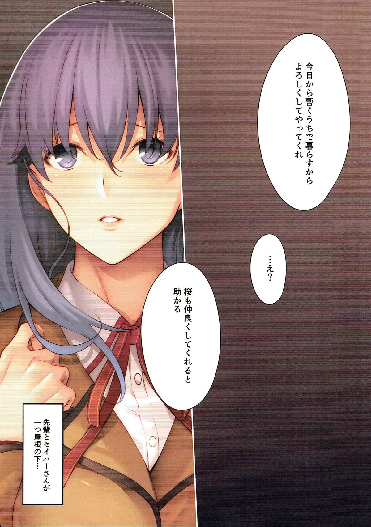 (C93) [孤独intelligence (ななお)] THE BOOK OF SAKURA (Fate/stay night)