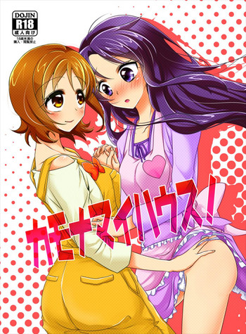 (レインボーフレーバー12) [ろーぷあいらんど (みやのゆき)] カモナマイハウス! (ハピネスチャージプリキュア!)