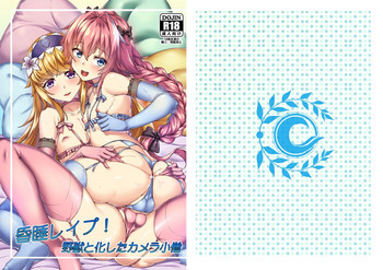 [熊の穴 (シロクマA)] 昏睡レイプ!野獣と化したカメラ小僧 (Fate/Grand Order) [中国語] [DL版]