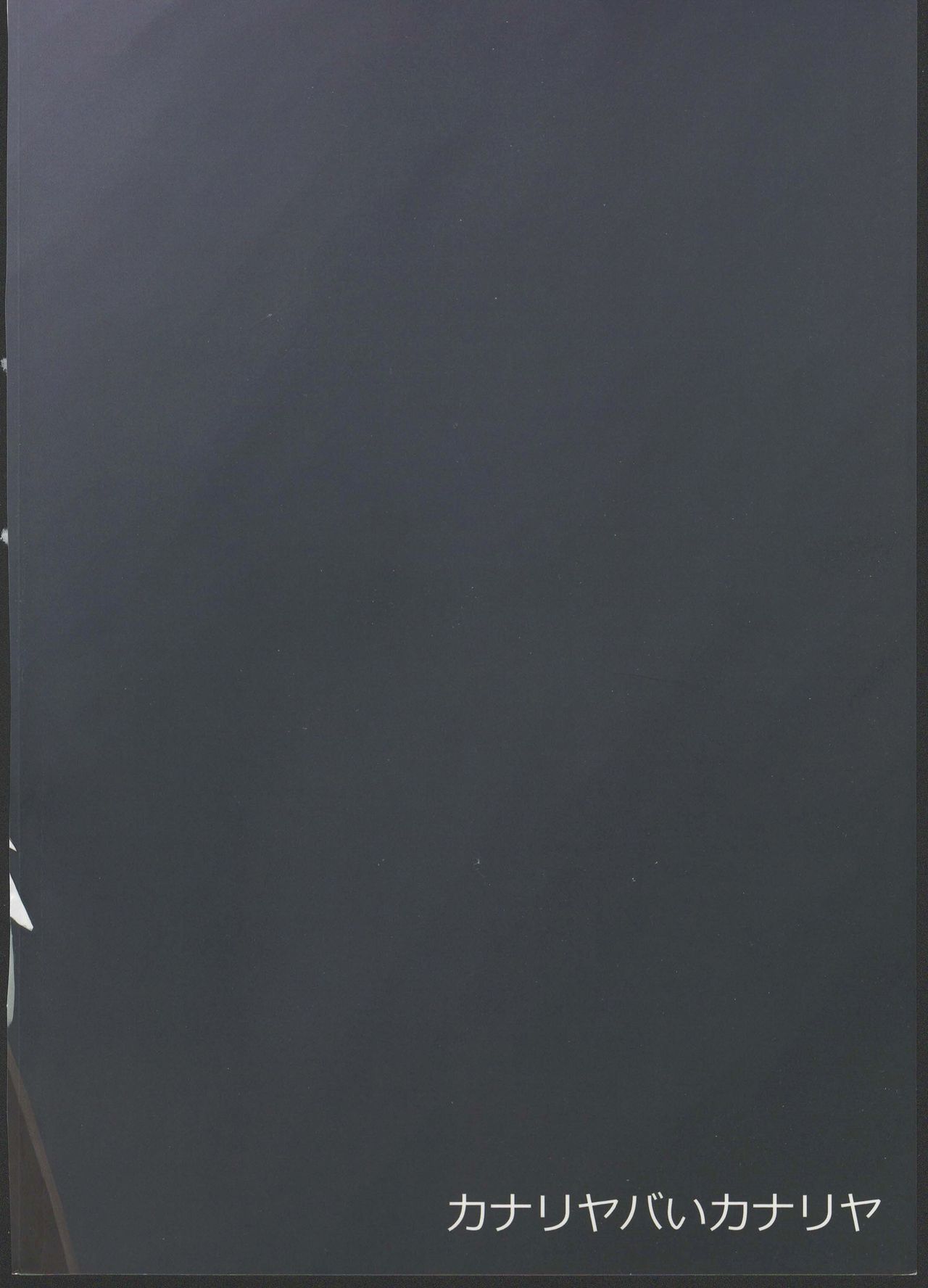 (C88) [カナリヤバいカナリヤ (まゃ～吾郎)] アルマがアレコレされるのを眺める本。3 (神羅万象)