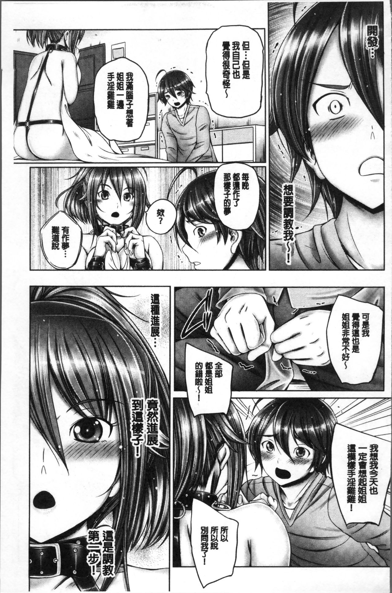 [音音] アネスリウム [中国翻訳]