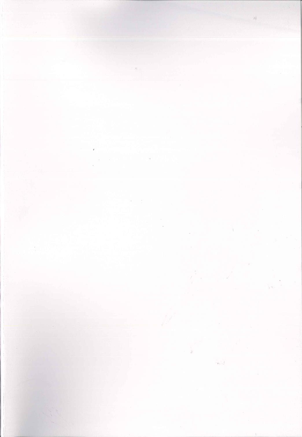 (C93) [Satellites (サテツ)] ALICE INN (東方Project)