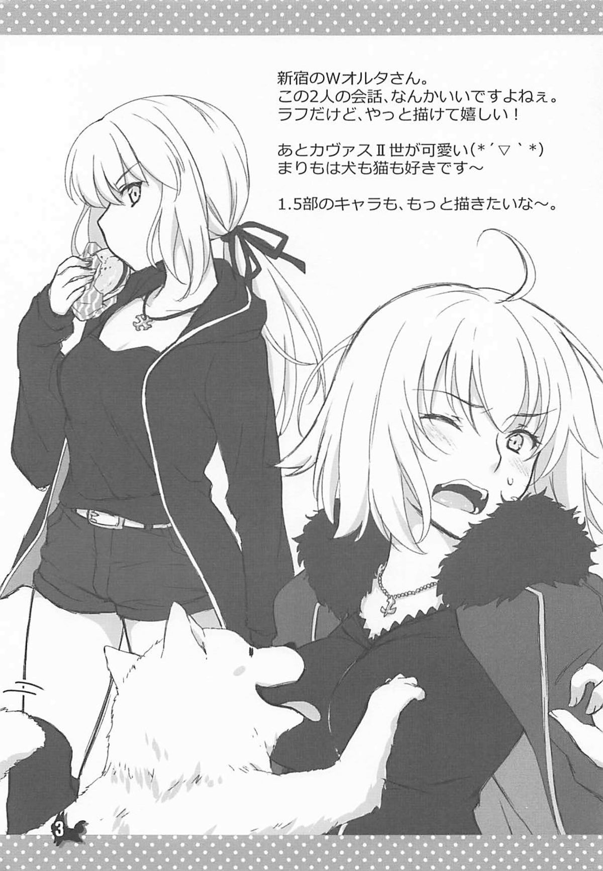 (C93) [まりも屋 (もりまりも)] +Chotto vol.5 (Fate/Grand Order)