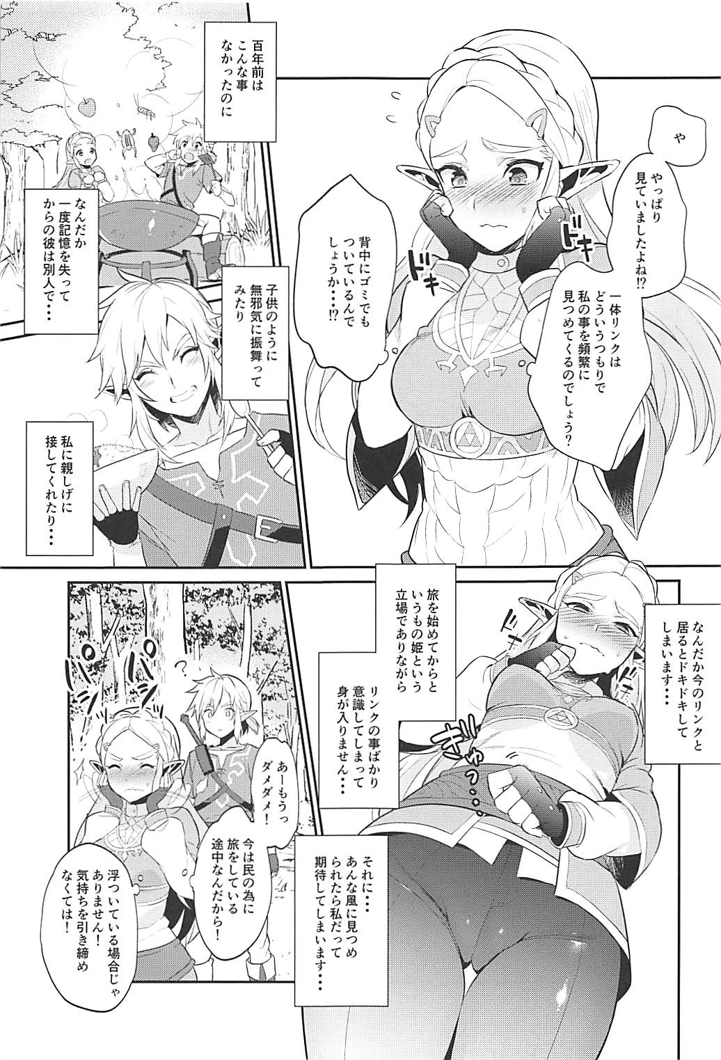 (C93) [もりっとこけ (もり苔)] ハイラル繁栄のためのかつどう! (ゼルダの伝説)