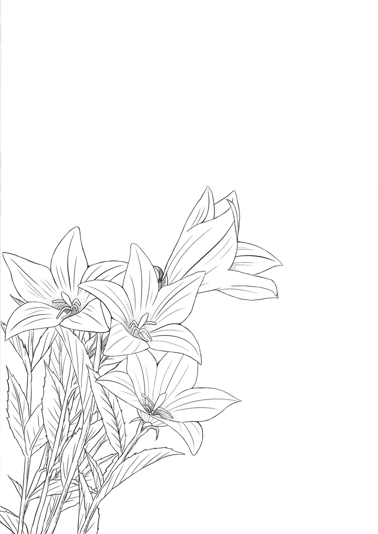 [ノラネコノタマ (雪野みなと)] 光の君のさがなき計画〈明石〉 [DL版]