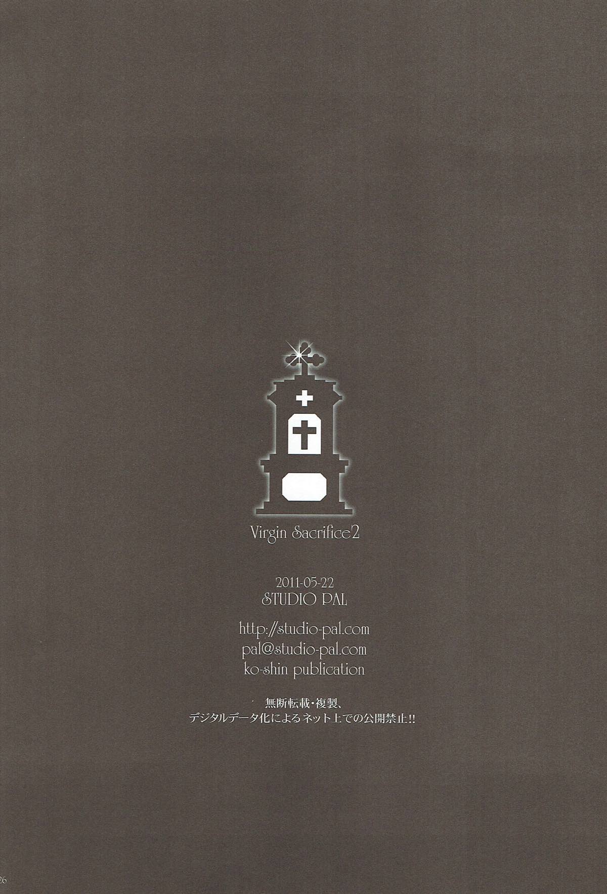 [STUDIO PAL (南野琴)] 処女の生贄2 (ドラゴンクエストV)