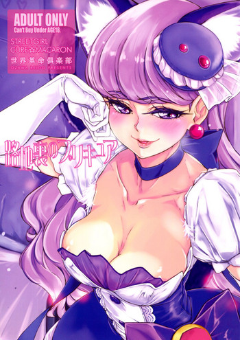 (COMIC1☆11) [世界革命倶楽部 (小澤零人)] 路地裏のプリキュア (キラキラ☆プリキュアアラモード)