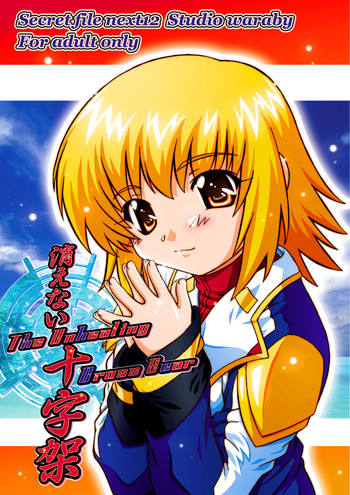 [スタジオ・ワラビー (鷹那優輝)] SECRET FILE NEXT12 (機動戦士ガンダムSEED DESTINY) [DL版]