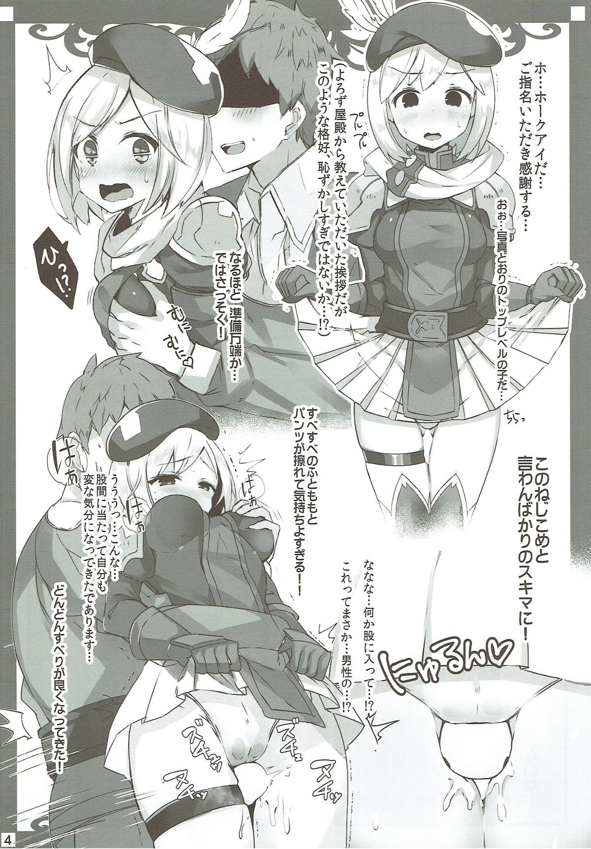 (C90) [こぶらの (鉄豚)] APRIL FANTASY (グランブルーファンタジー)