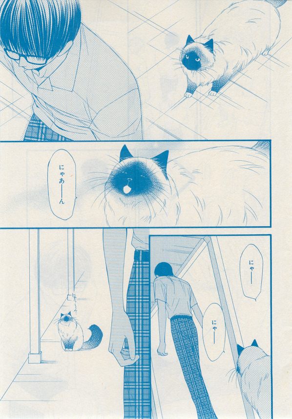 MAGAZINE BE×BOY 2014年12月号