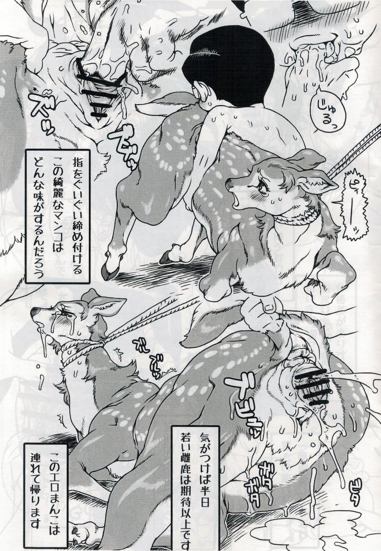 (関西!けもケット) [迷い猫 (よろず)] 弱肉強姦 (TOKYO JUNGLE)