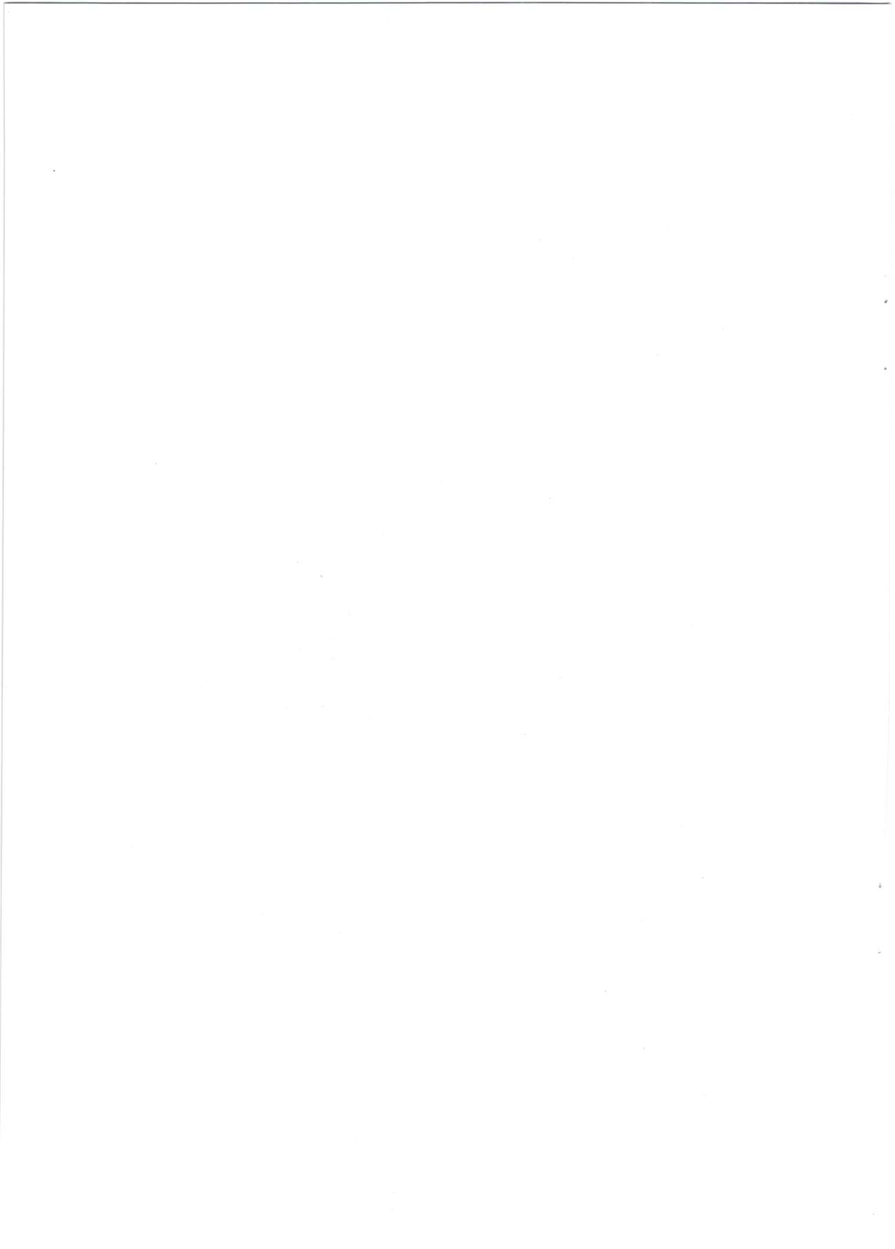 (C92) [ガミ・ライズ、千の灯、タテシマ。 (賀、ちびびび、横縞)] やみのごうどうぼん。G (戦姫絶唱シンフォギア)