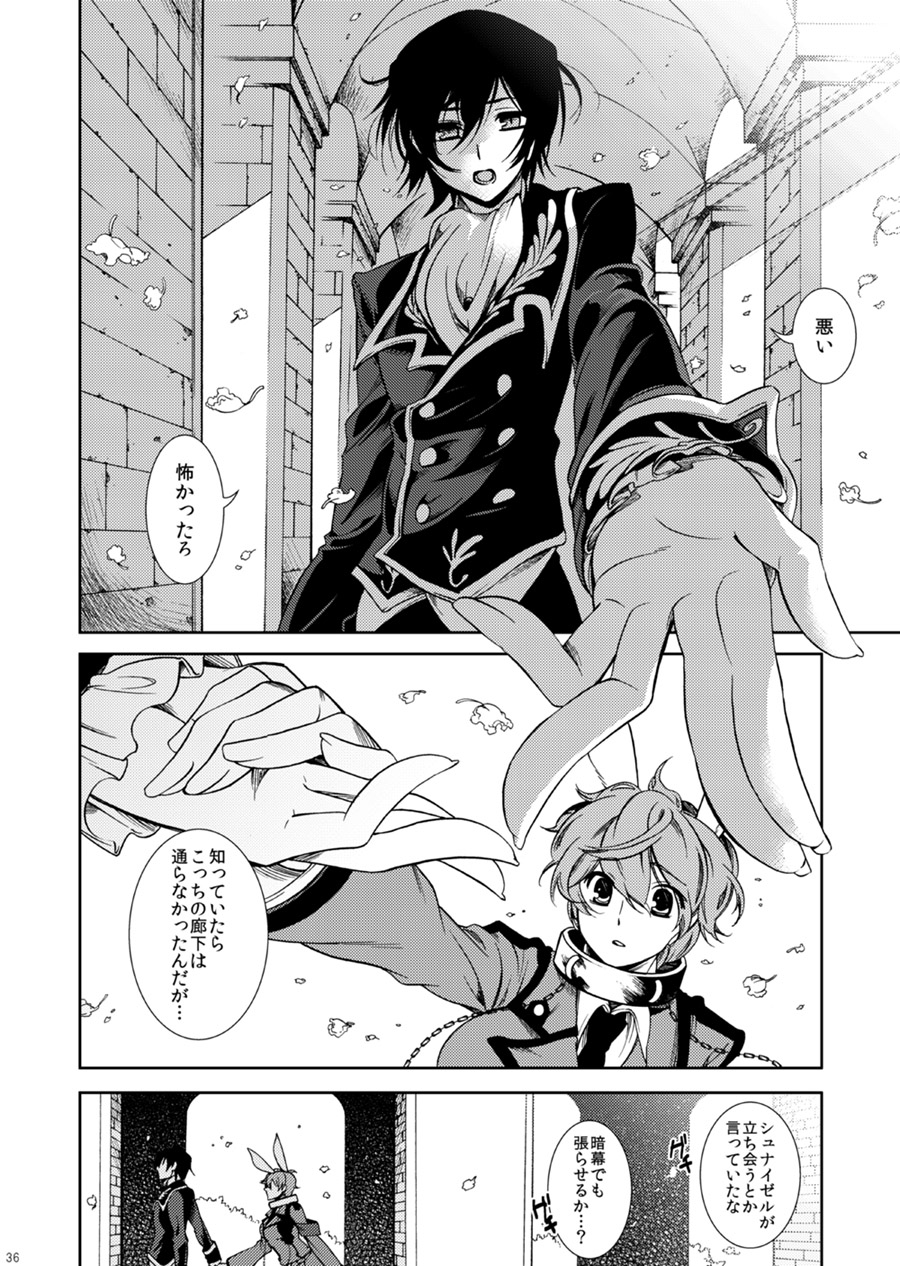 [クリスチーネ (てしお)] ドロッセルマイヤーの宝石箱 (コードギアス 反逆のルルーシュ) [DL版]