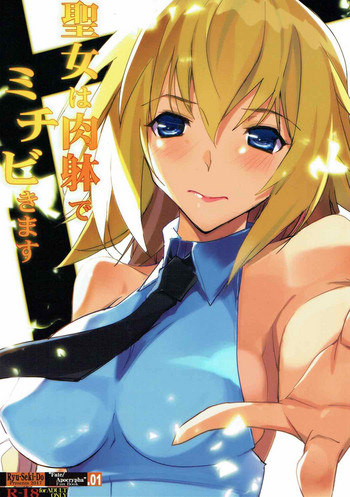 (COMIC1☆12) [流石堂 (流ひょうご)] 聖女は肉躰でミチビきます (Fate/Apocrypha)