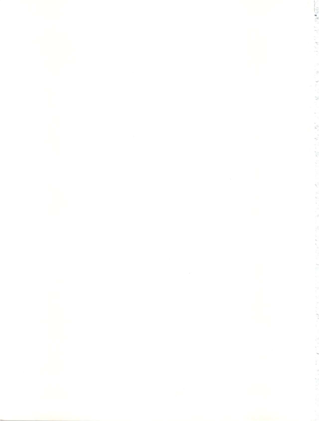 [バルバロイの里 (りゅうか綾)] 裸足のVAMPIRE (吸血姫美夕)