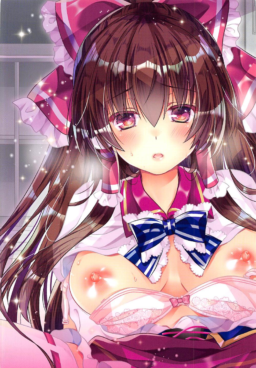 (秋季例大祭4) [せとらん (タンノらん、イトウせと)] 東方教育学園霊夢委員長の秘密の放課後 (東方Project)