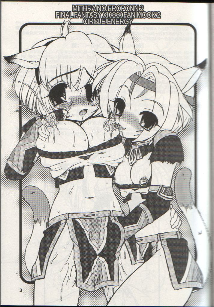 (サンクリ23) [サークルENERGY (新春夏秋冬)] ミスラのえろぽん 2 (ファイナルファンタジーXI)