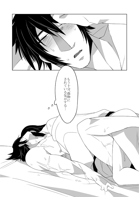 [純愛ist (きしあ)] きずもの (戦国無双) [DL版]