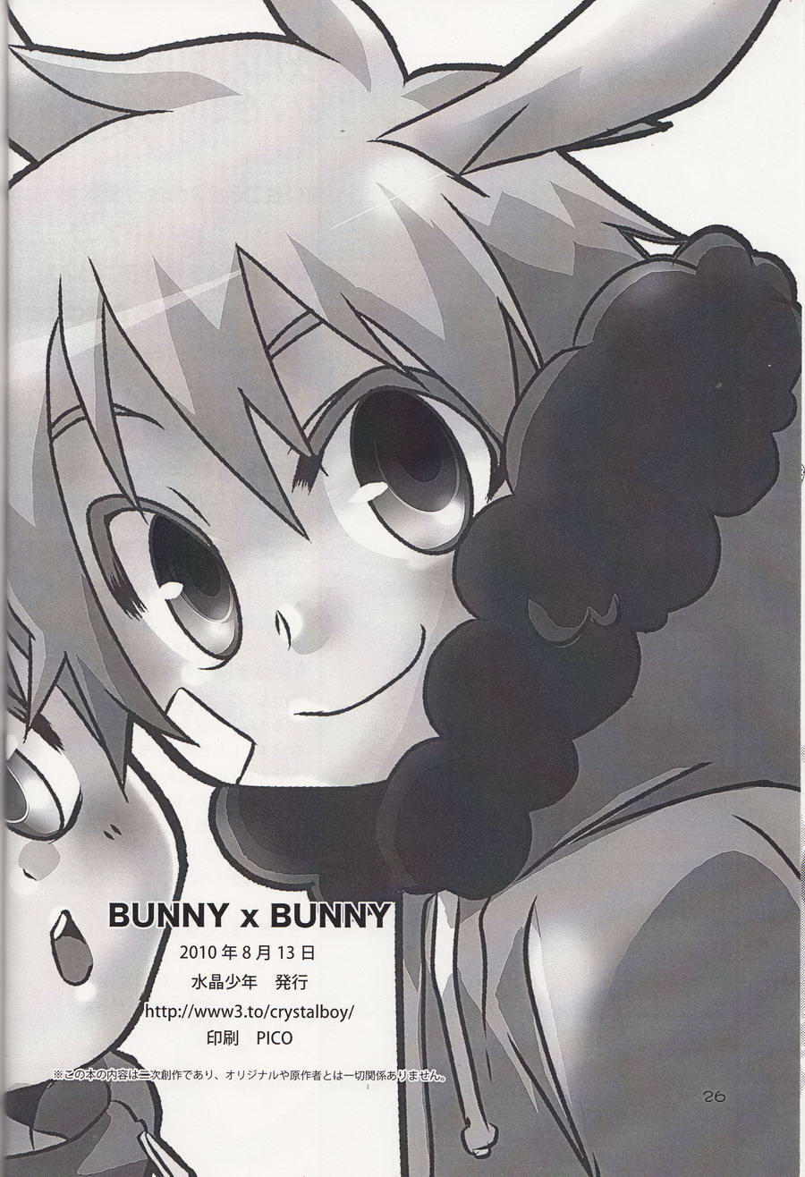 (C78) [水晶少年 (くまねこ)] BUNNY×BUNNY (South Park) [英訳]