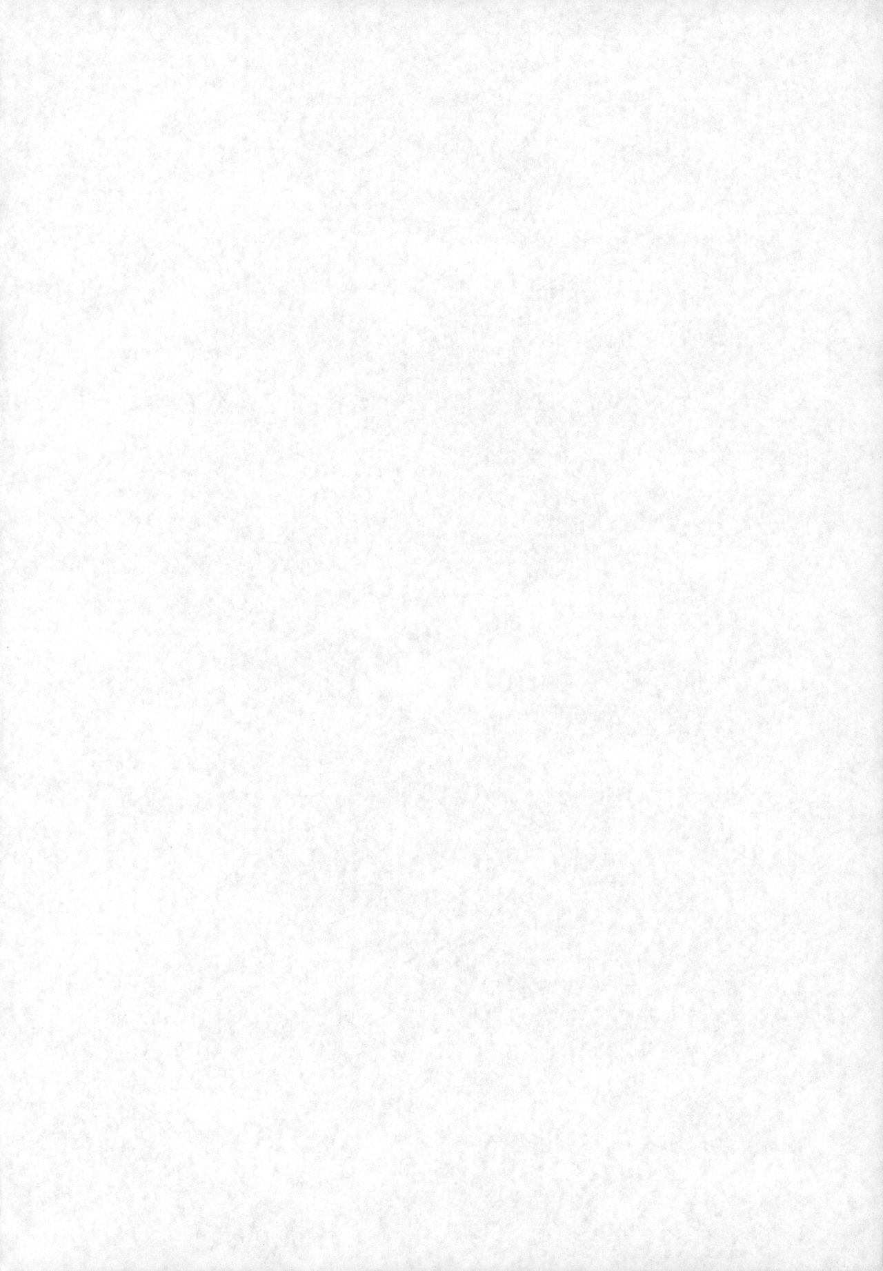 (C78) [SOLEX (TOKU、さのまこ、Lamb)] RURIMIX SP11 (機動戦艦ナデシコ)