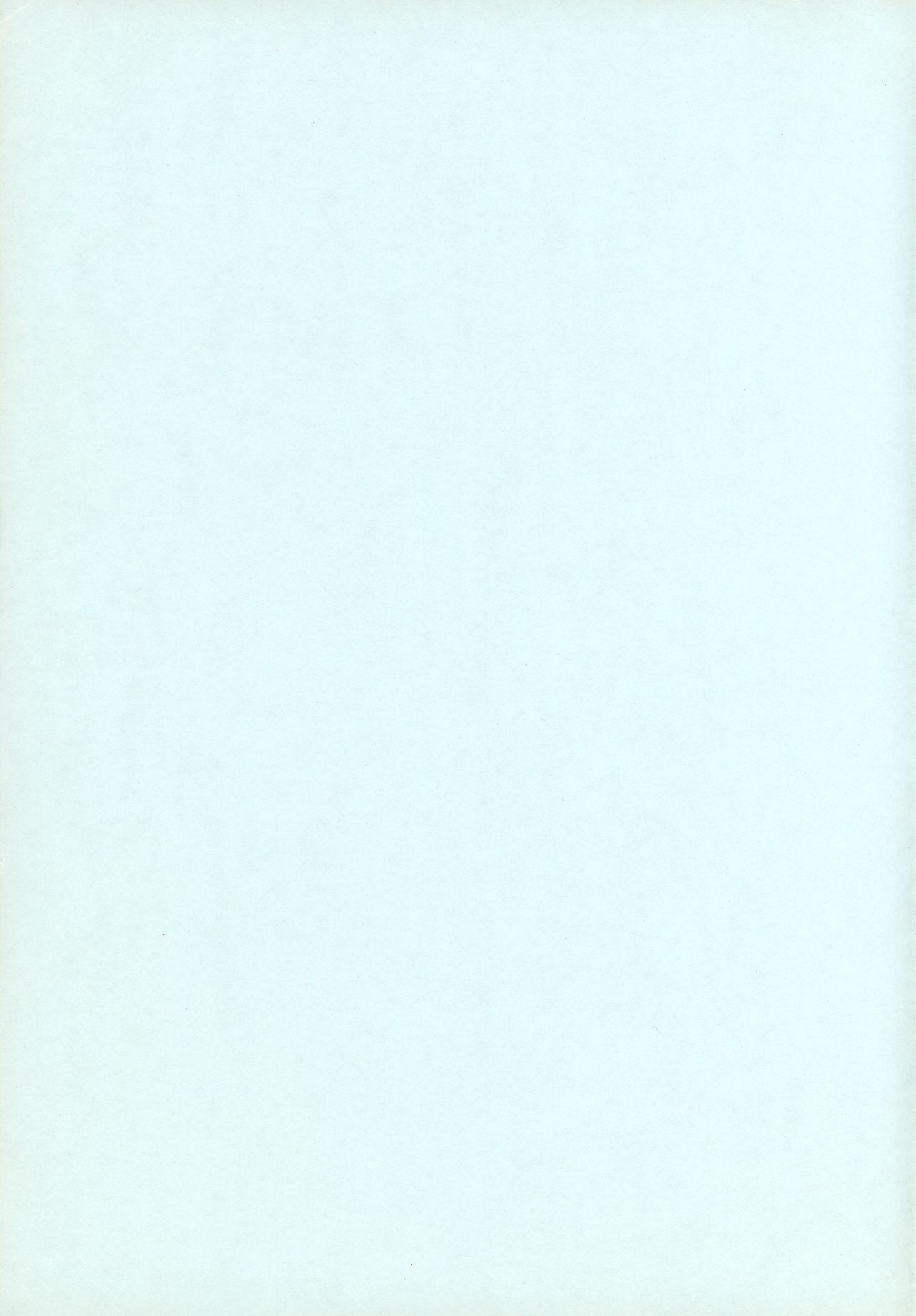 [SHYNESS OVER DRIVE (MOTO)] DAMAGE (新世紀エヴァンゲリオン)