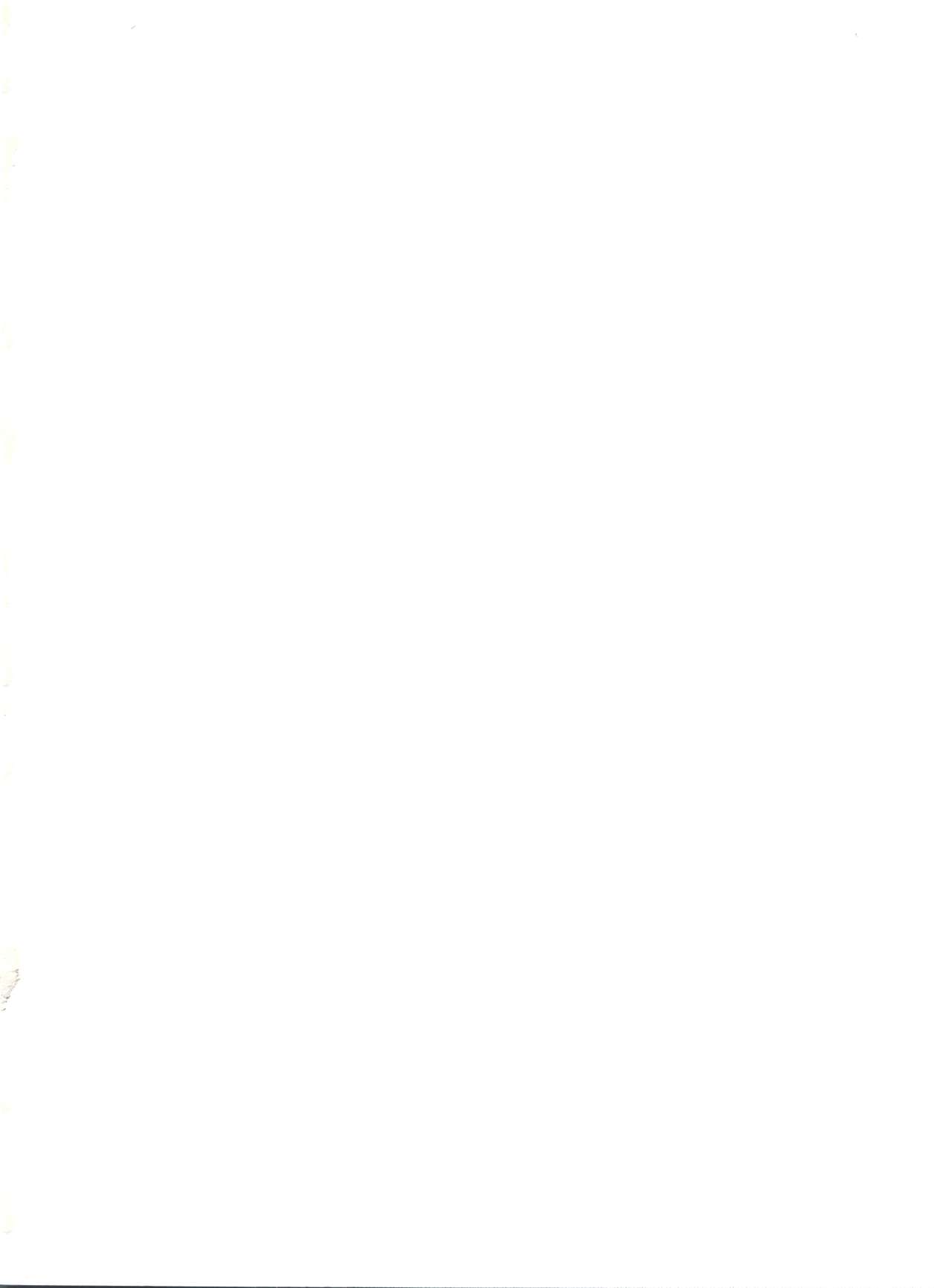 (C62) [エフェクター (よろず)] MS娘娘 (ガンダム)